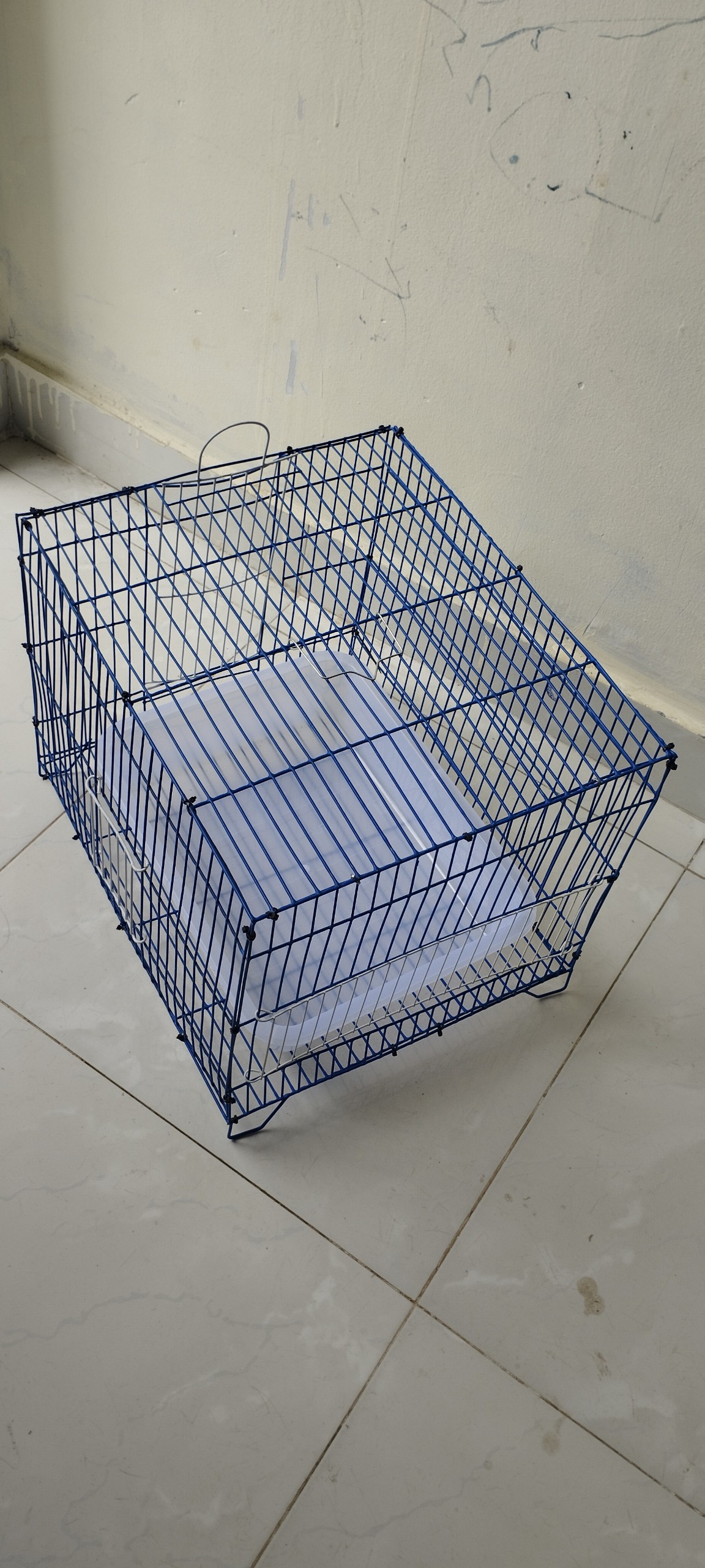 Lồng tắm chim lớn 30x34x40 dành cho chích choè, chào mào tặng thau tắm