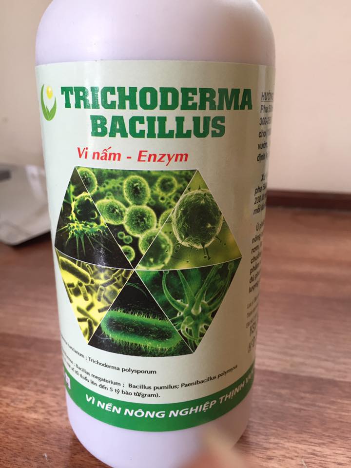 Trichoderma Bacillus (Vi nấm đối kháng)