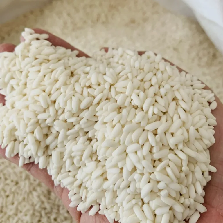 Nếp sáp ngỗng thơm dẻo