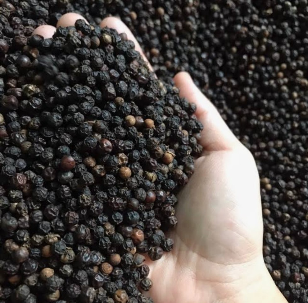 Tiêu đen Loai 500g _ tiêu hat _ tiêu sach _ tieu gia re_ tiêu buôn mê.