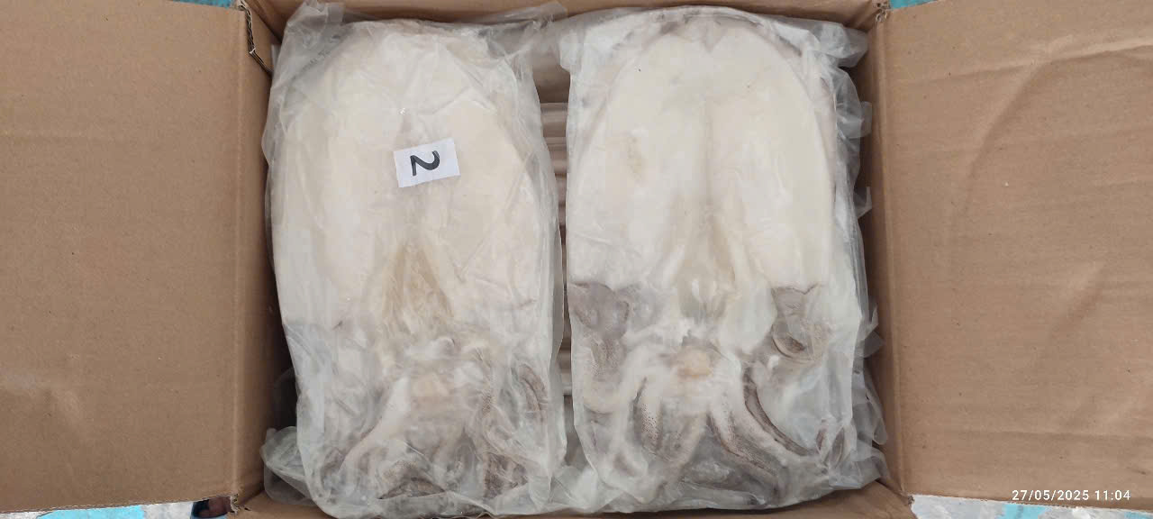 Mực Lá 1 nắng - Bịch 1kg 2 con (giao hcm)
