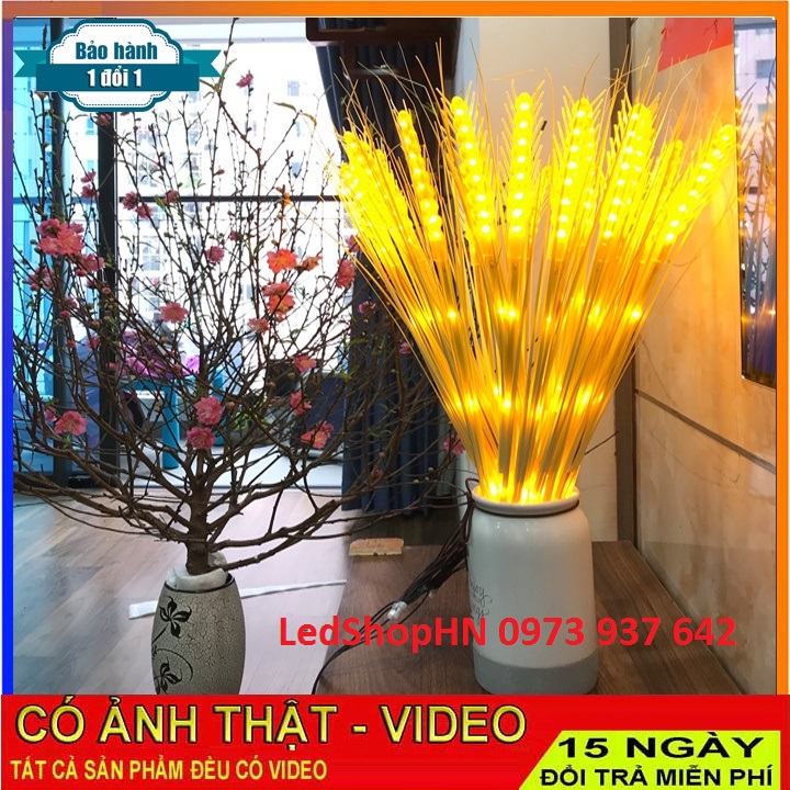 (15 bông) Đèn LED Trang Trí Hình Bông Lúa Bó 15 Bông Ánh Sáng Vàng Ấm
