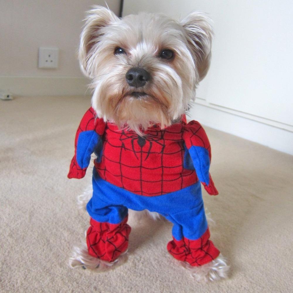 Áo spider man cho chó
