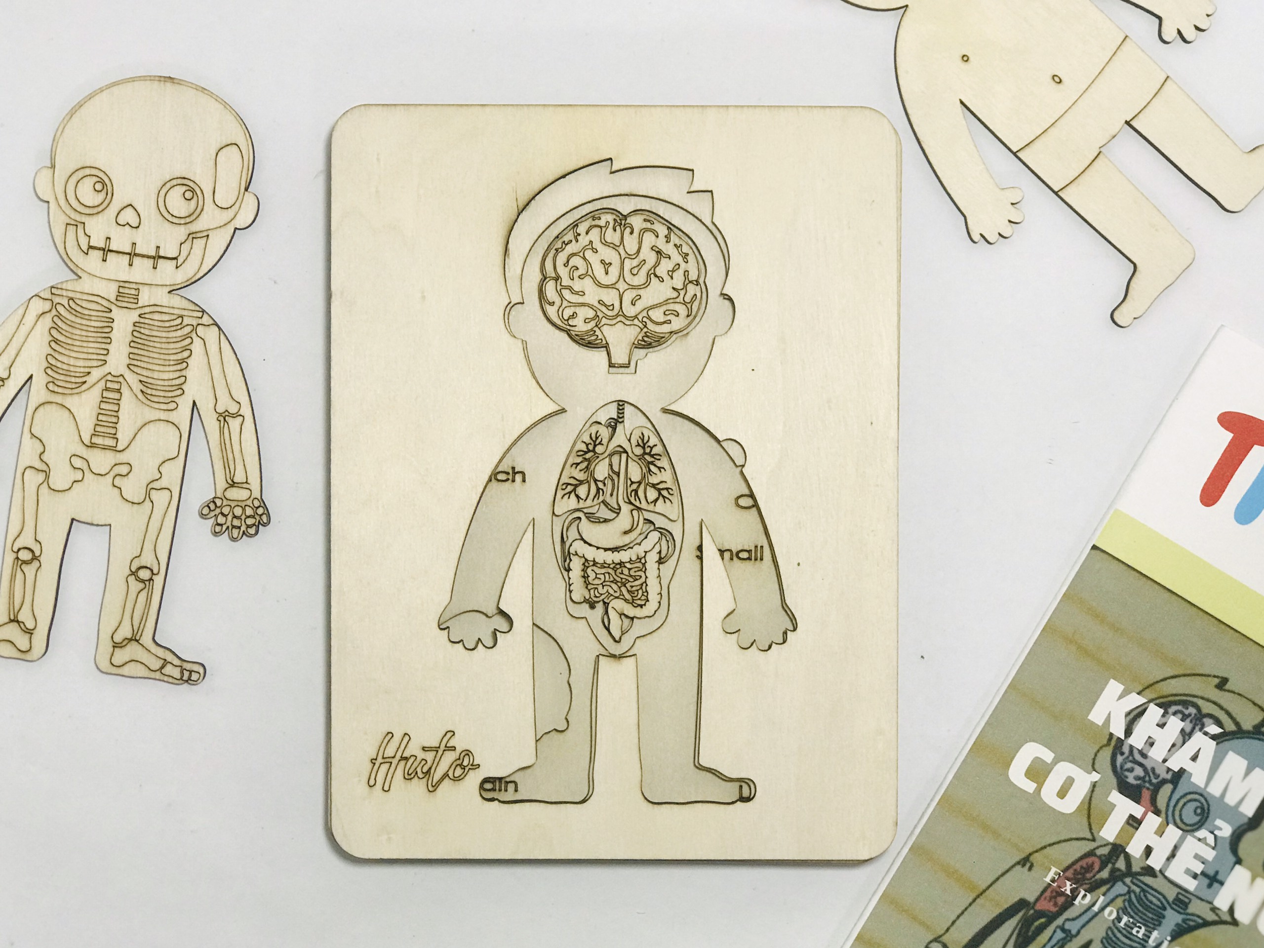 Đồ Chơi Tranh Ghép Cơ Thể Người 3D Bằng Gỗ