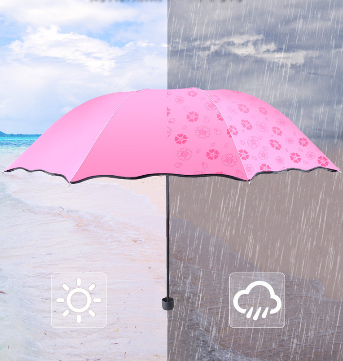 Ô dù che mưa nắng nở hoa Anh Đào khi gặp nước