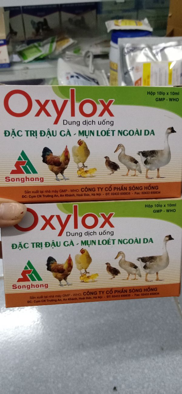 Combo 10lọ Oxylox Đậu Gà- Mụn Loét Ngoài Da
