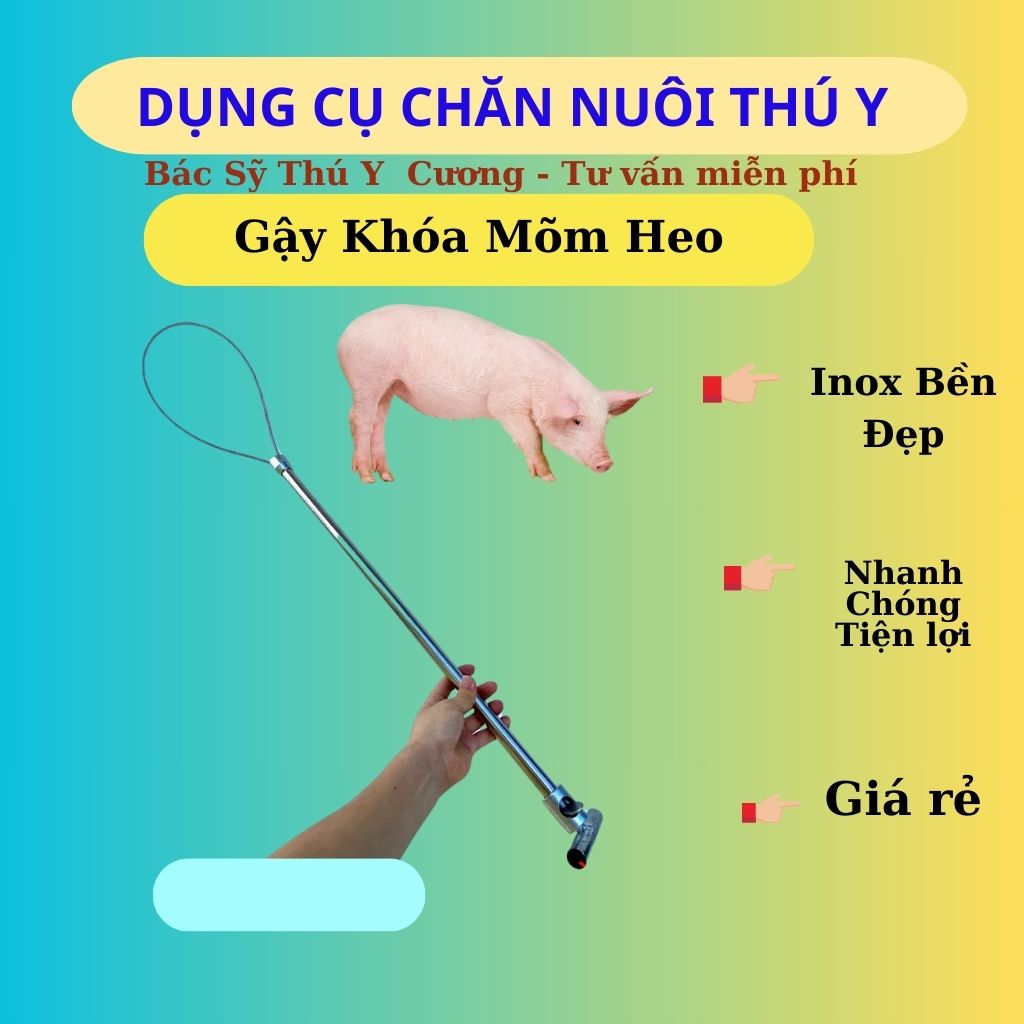 Gậy khoá mõm heo, khoá mõm chó bằng inox