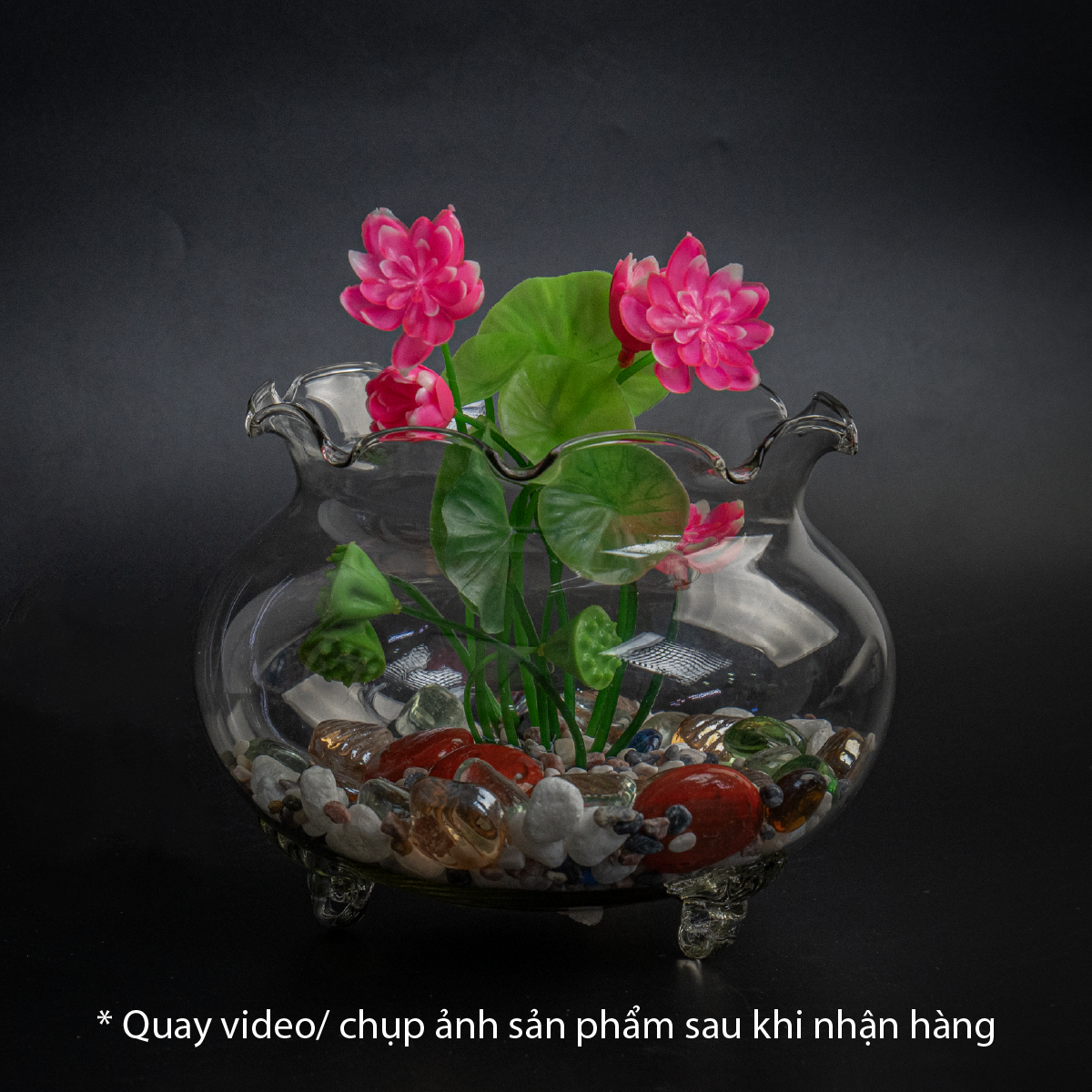 Bình thủy tinh có chân chuyên dùng trồng cây thủy sinh, thủy canh, bình nuôi cá để bàn