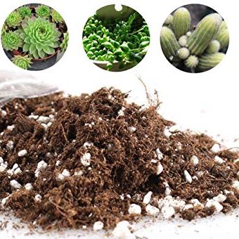 1 kg Đất Trồng Sen Đá, Xương Rồng Giàu Dinh Dưỡng