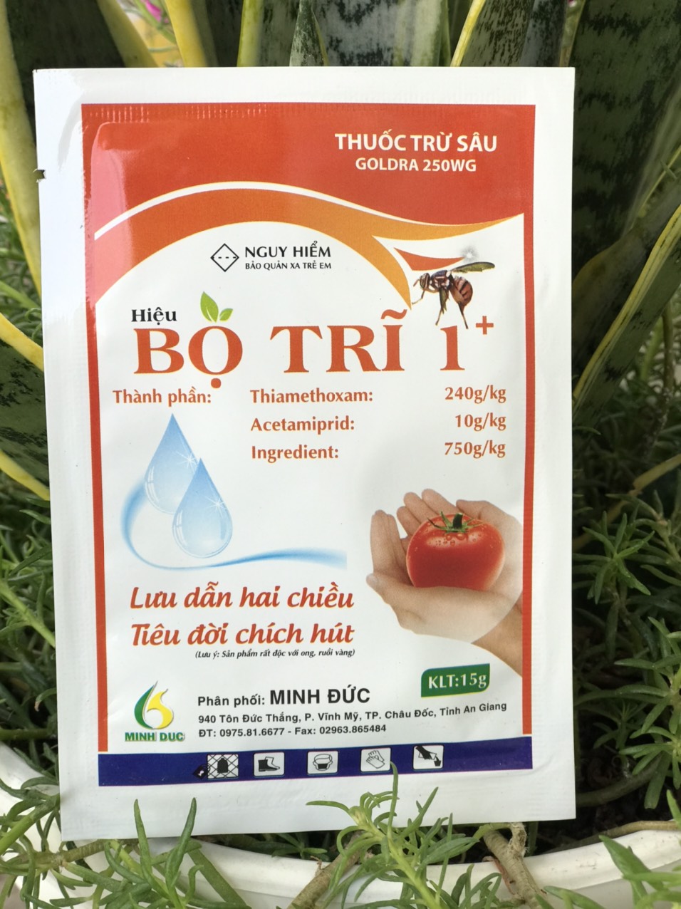 đặc tri bọ trĩ. ruồi vàng côn trùng chích hút. rầy, rệp, sâu vẽ bùa gói 15gr