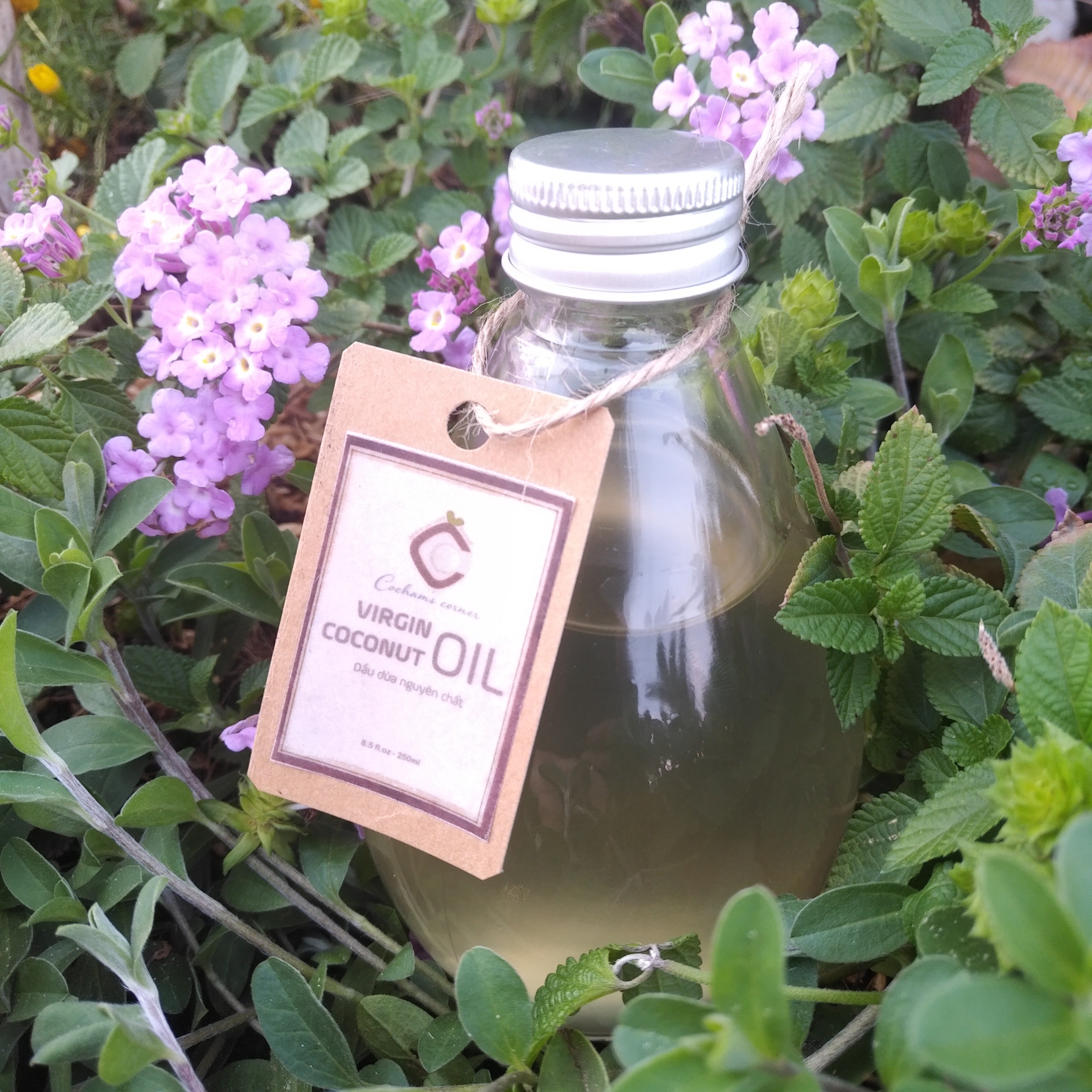 Dầu dừa nguyên chất 100% - virgin coconut oil - 250ml