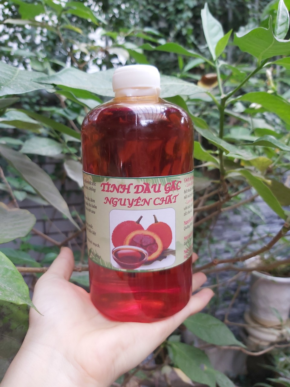 1 lít dầu gấc gia truyền nguyên chất