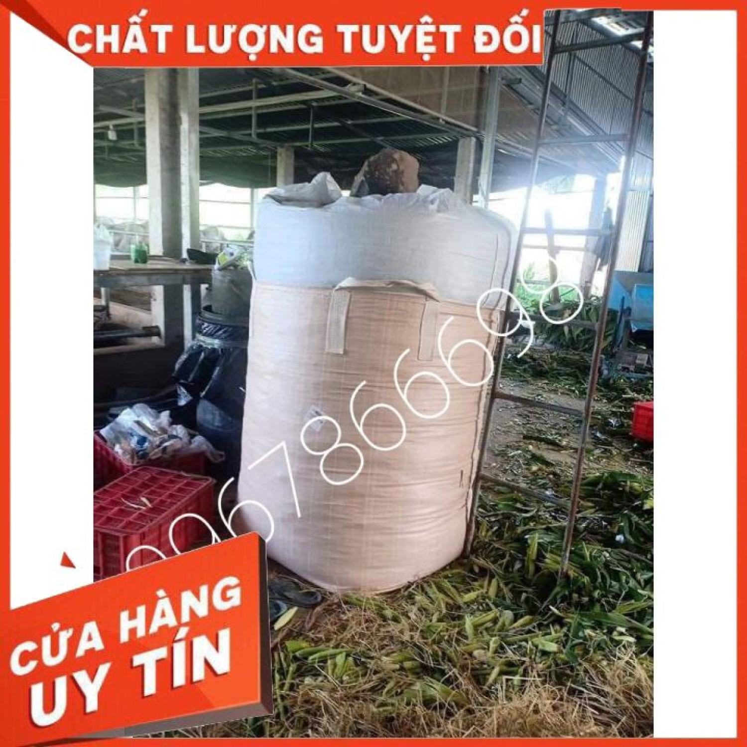 Bao ủ chua bắp, cỏ rất hiệu quả
