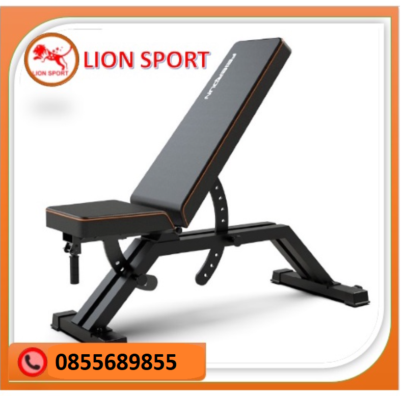 Ghế tập tạ gym đa năng lionsport dd04