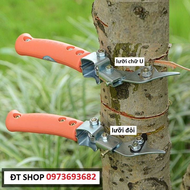 Dao khoanh vỏ cây 1 lưỡi đôi và 1 lưỡi chữ U