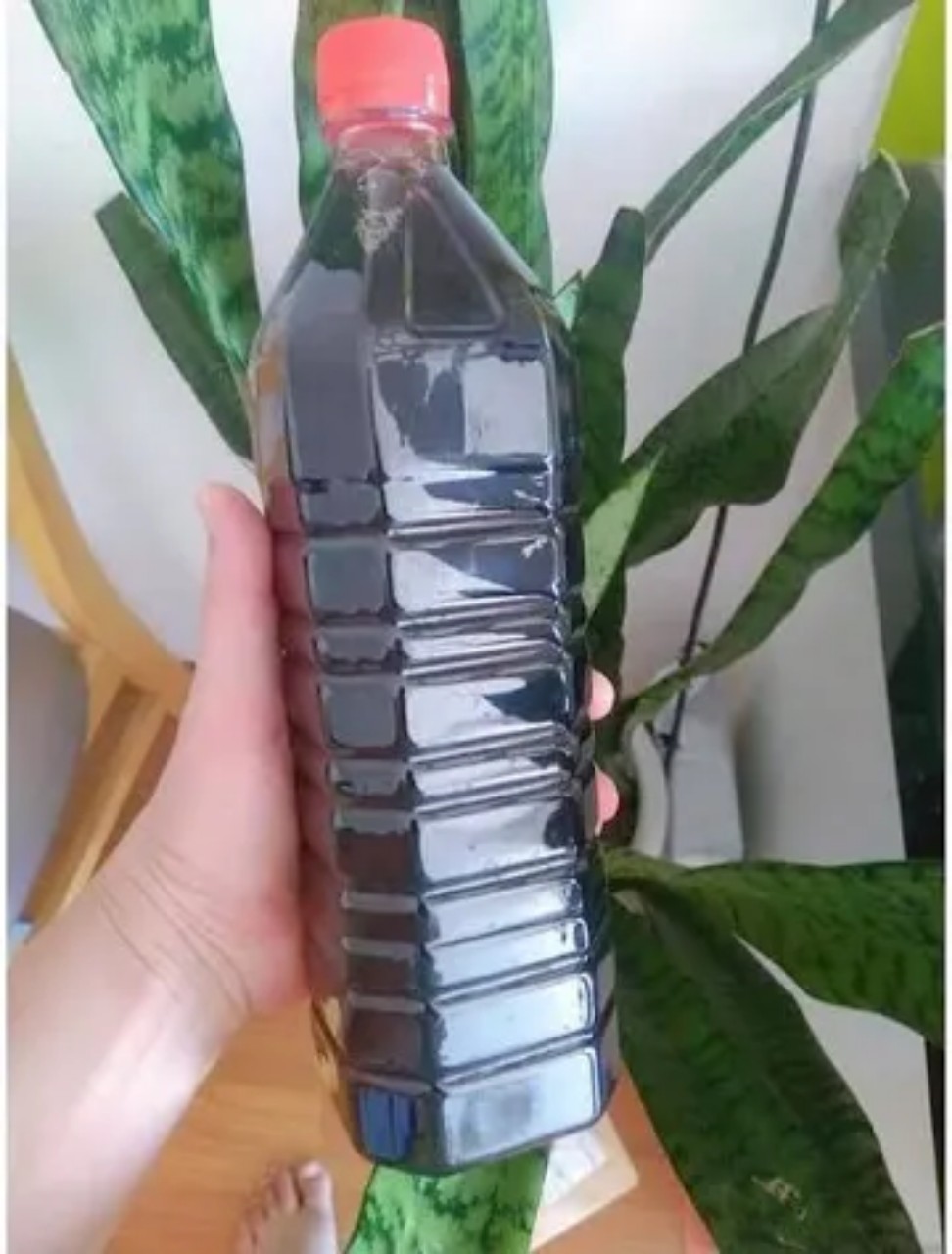 1l nước mắm chắt cá cơm nguyên chất loại 1 - đặc sản sa châu