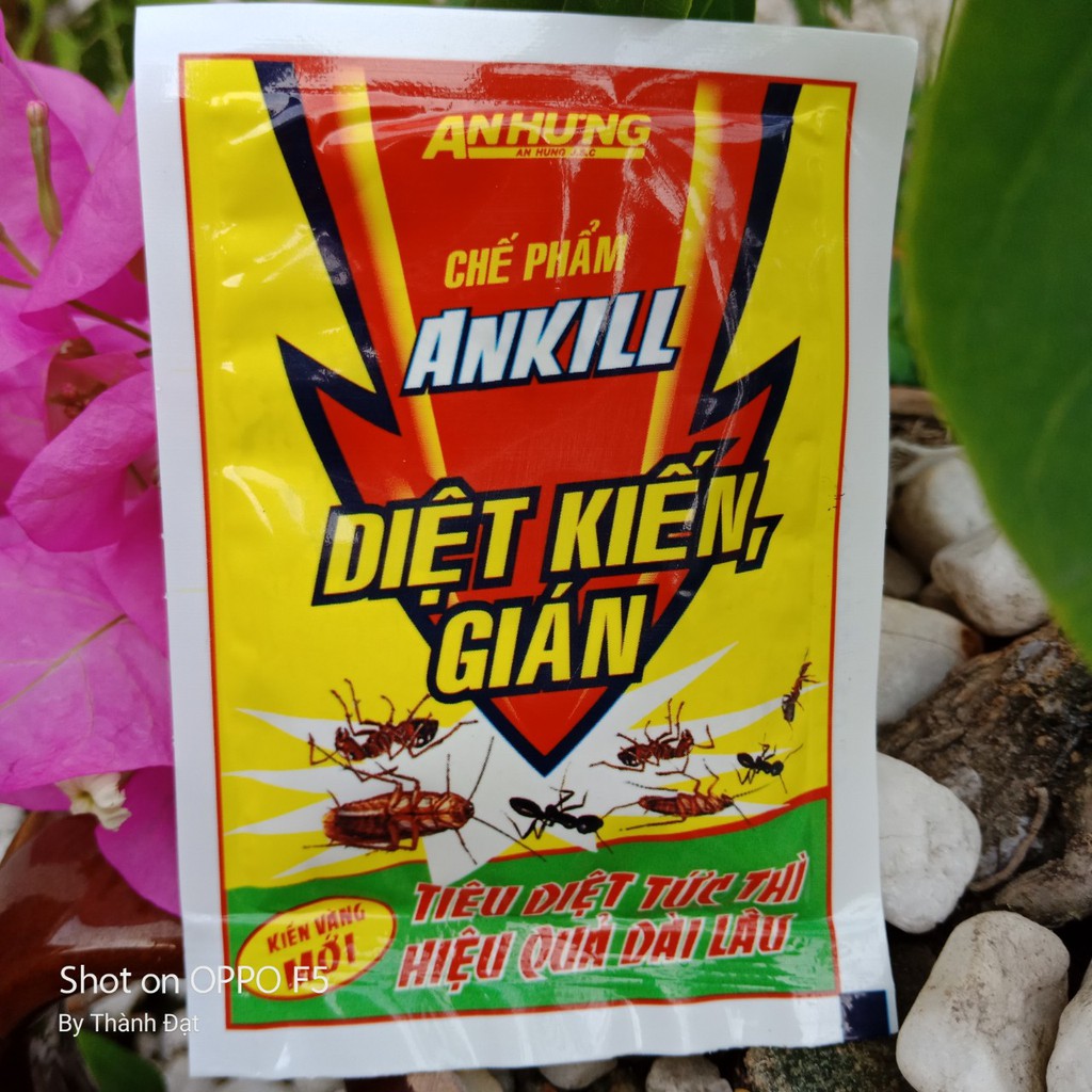 Thuốc diệt kiến ,gián gói dạng bột