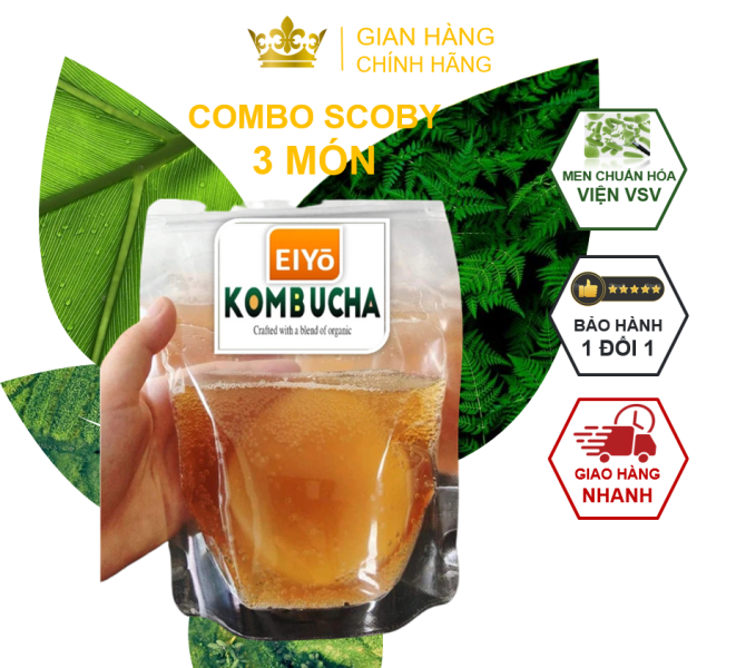 Combo SCOBY 3 món cho người mới (Gồm Con Giống SCOBY + Trà Đen + Đường Mía) chuẩn Organic Hữu Cơ làm trà Kombucha