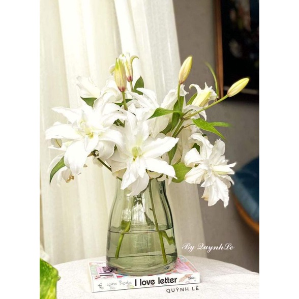 Lọ hoa thủy tinh xanh viền vàng.Lọ hoa h.O.a Decor