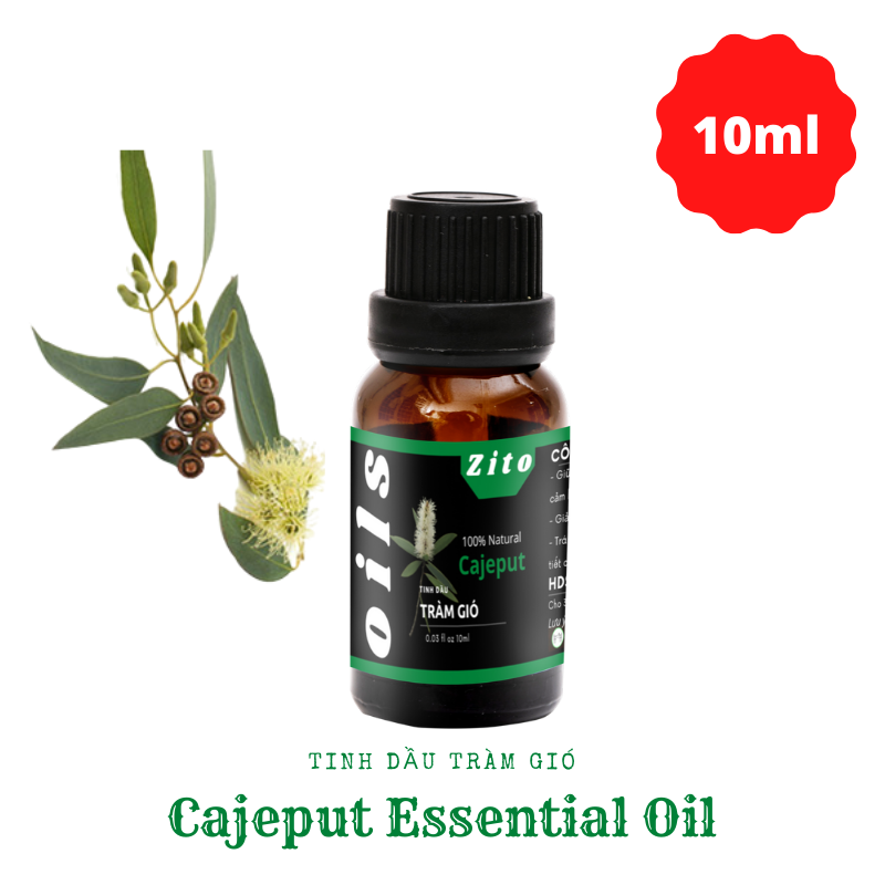 Tinh dầu tràm gió zito 10ml