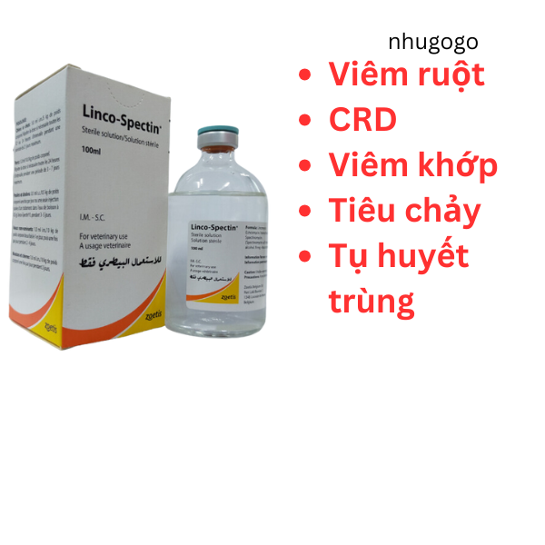 Linco Spectin 100ml CRD, viêm ruột, tiêu chảy, tụ huyết trùng