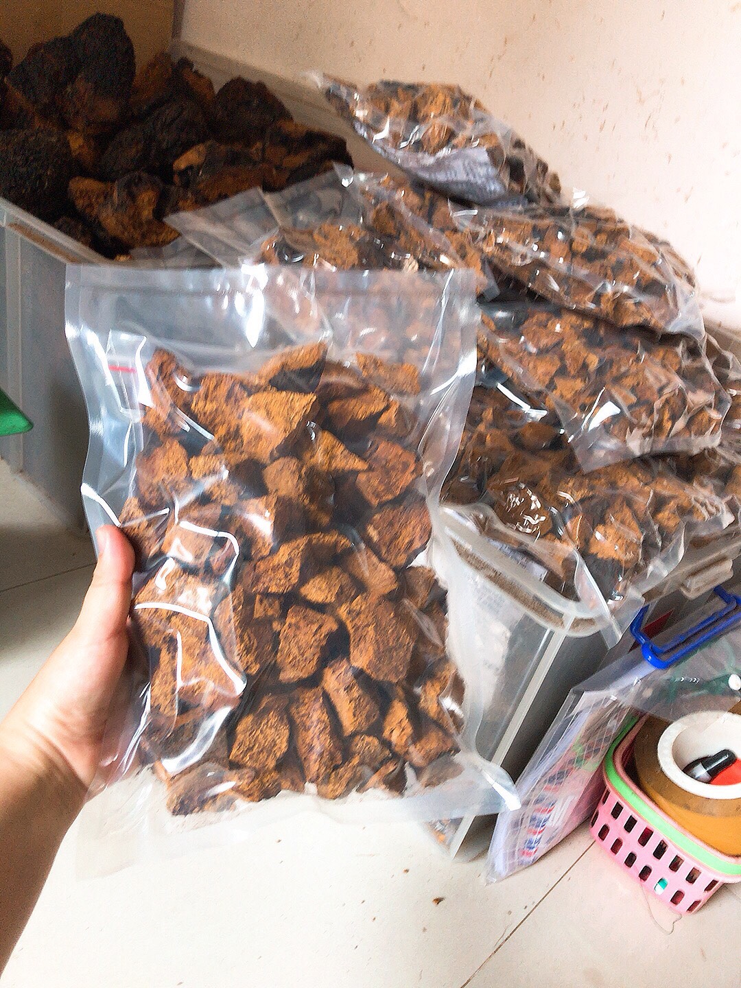 Nấm chaga vùng siberia 0.5kg chỉ 400k freeship