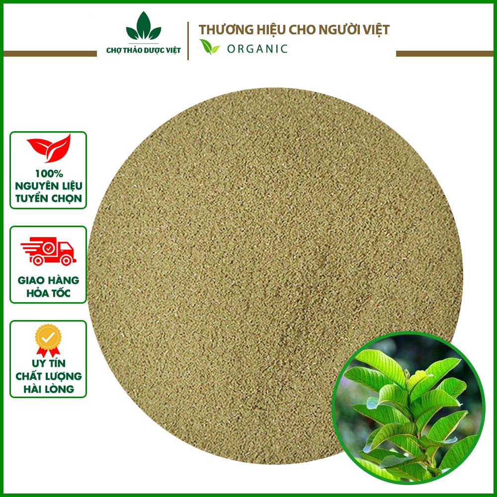 Bột lá ổi 100g nguyên chất, khô, thơm, sạch - Chợ Thảo Dược Việt