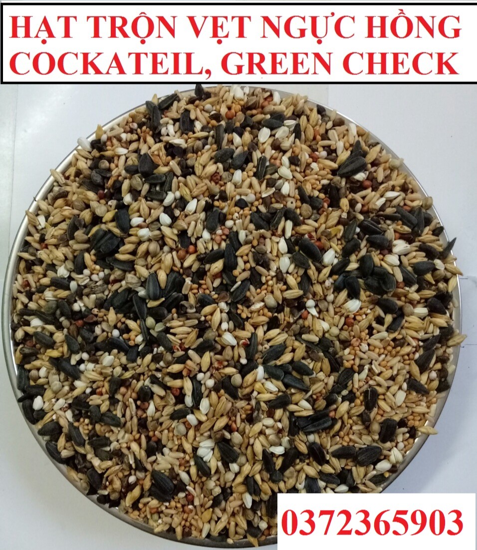 [HCM]1kg hạt trộn gồm 9 loại hạt dành cho COCKATIEL-NGỰC HỒNG.