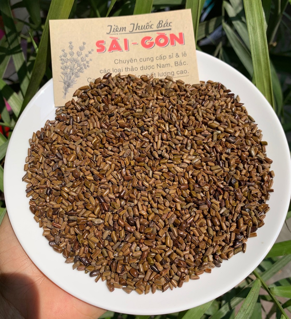 [HCM]Thảo Quyết Minh 100gram