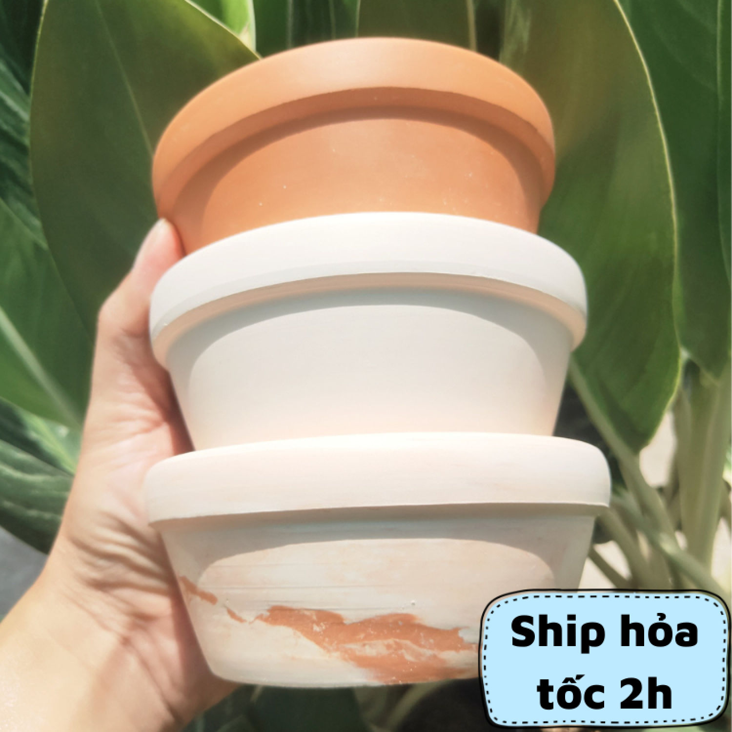 Chậu đất nung Size lớn trồng cây SIÊU ĐẸP, Chậu đất nung trồng sen đá lớn đẹp.