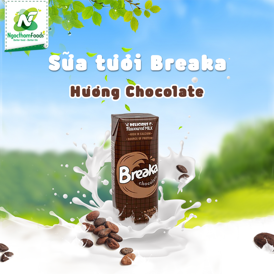 Breaka sữa tươi tiệt trùng hương chocolate 250ml - thùng 24 hộp