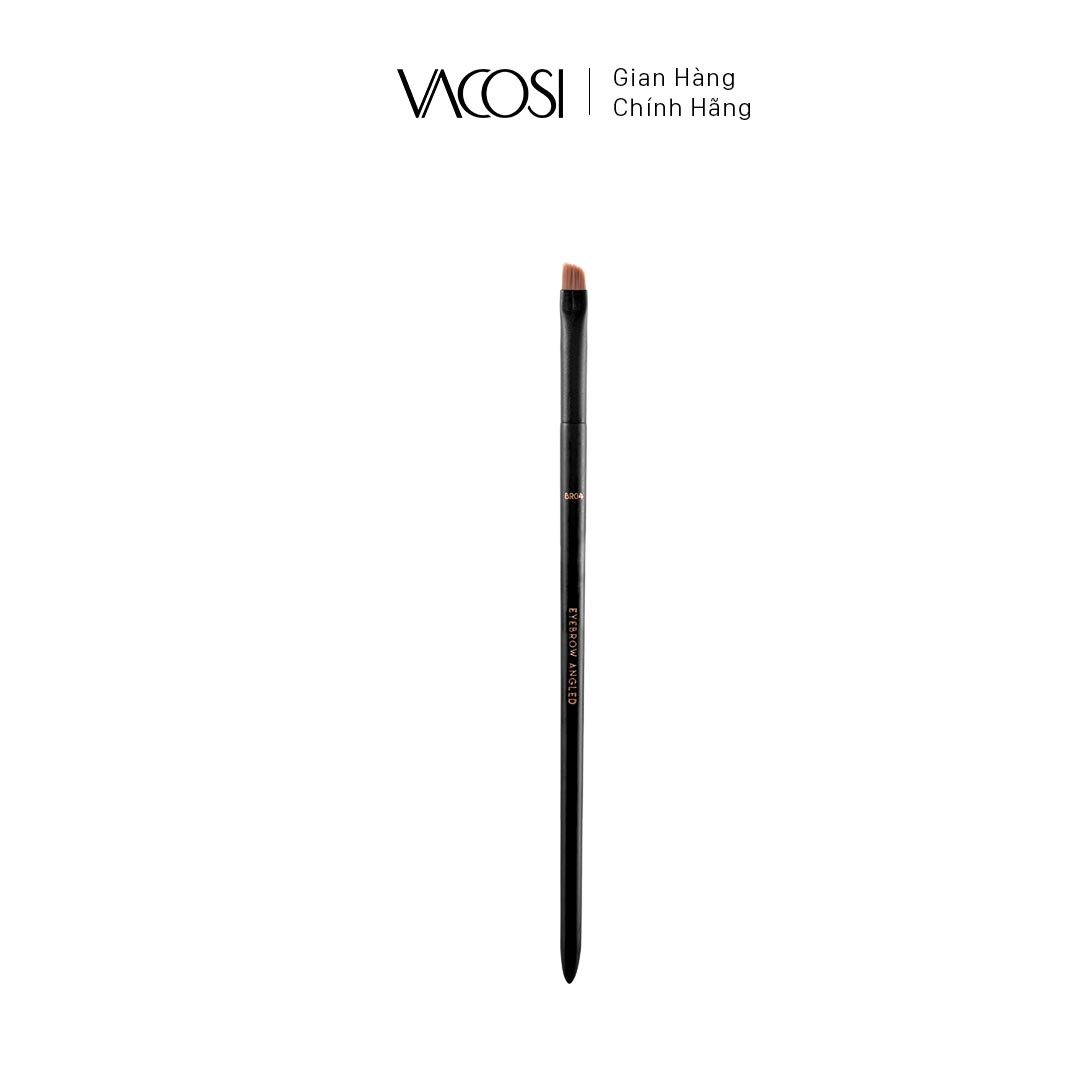 Cọ tán mày, lông dài vacosi - br04-y24