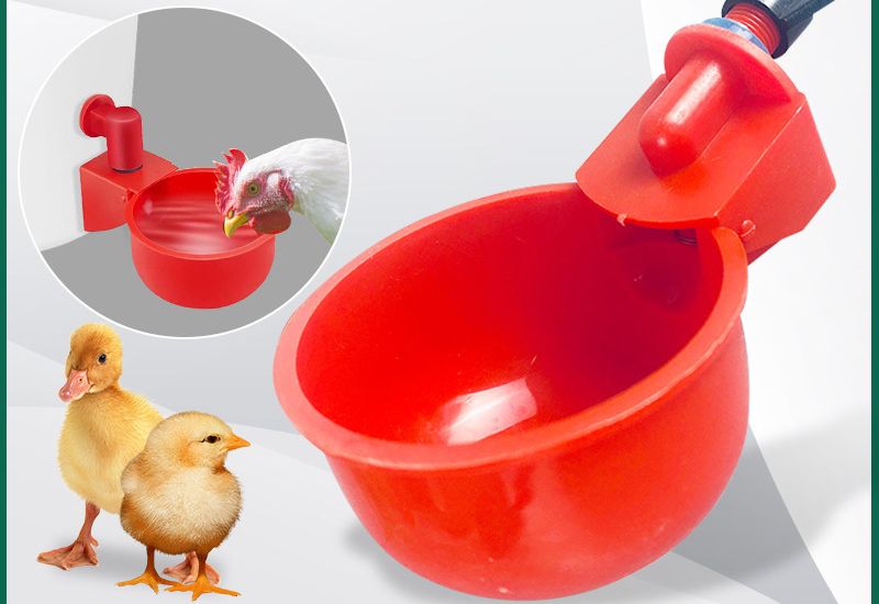 Combo 10 máng uống+1 mũi khoan cho gia cầm tự động chảy cho gà vịt ngan gia cầm uống nước tiết kịêm chi phí thời gian