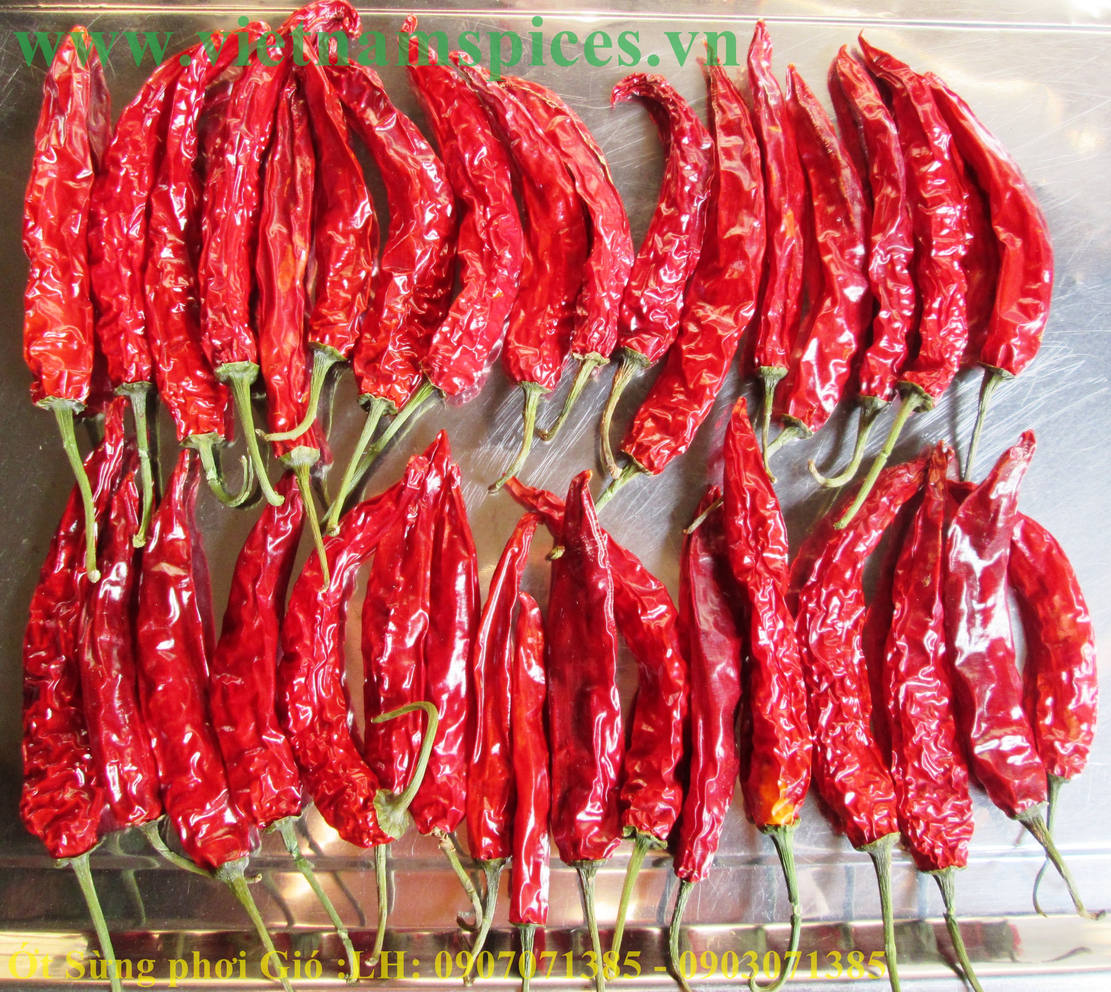 Ớt sừng trái phơi khô cao cấp 100gram