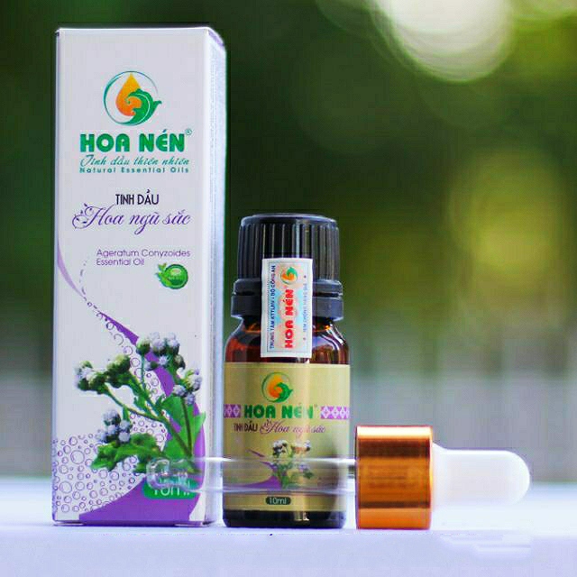 Tinh Dầu Hoa Ngũ Sắc Nguyên Chất 10ml - Tinh dầu xông phòng, nhỏ mũi, thích hợp với người bị viêm xoang, viêm mũi dị ứng