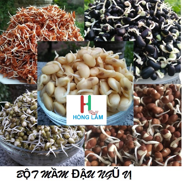 Bột mầm ngũ cốc dinh dưỡng gói 200g - mầm đậu đen, mầm đậu đỏ, mầm gạo lứt, mầm đậu xanh, mầm đậu nành