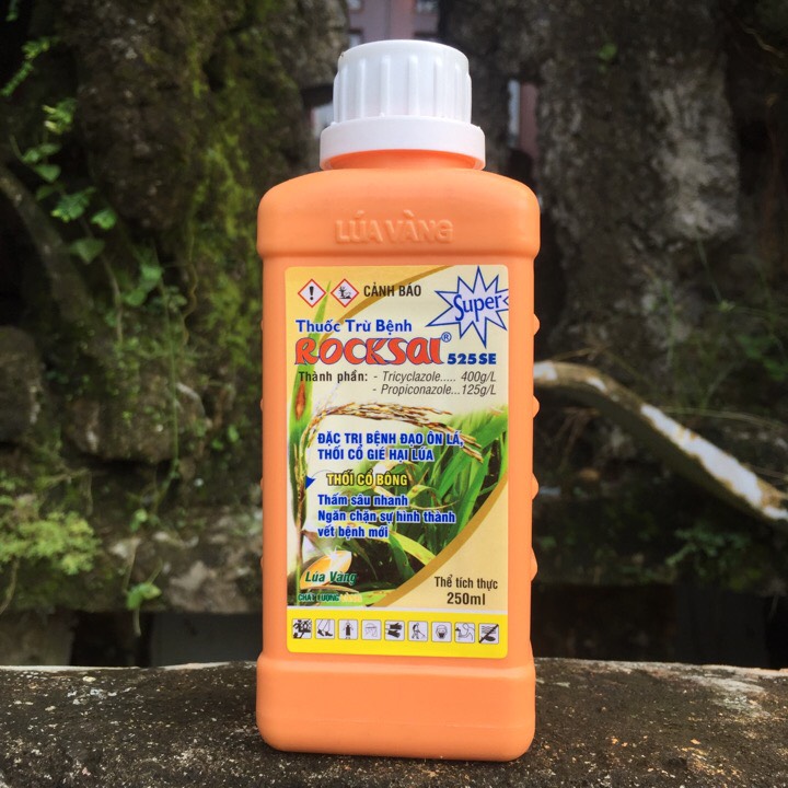 Rocksai chuyên trừ bệnh đạo ôn lá, thối cổ gié hại lúa 250ml