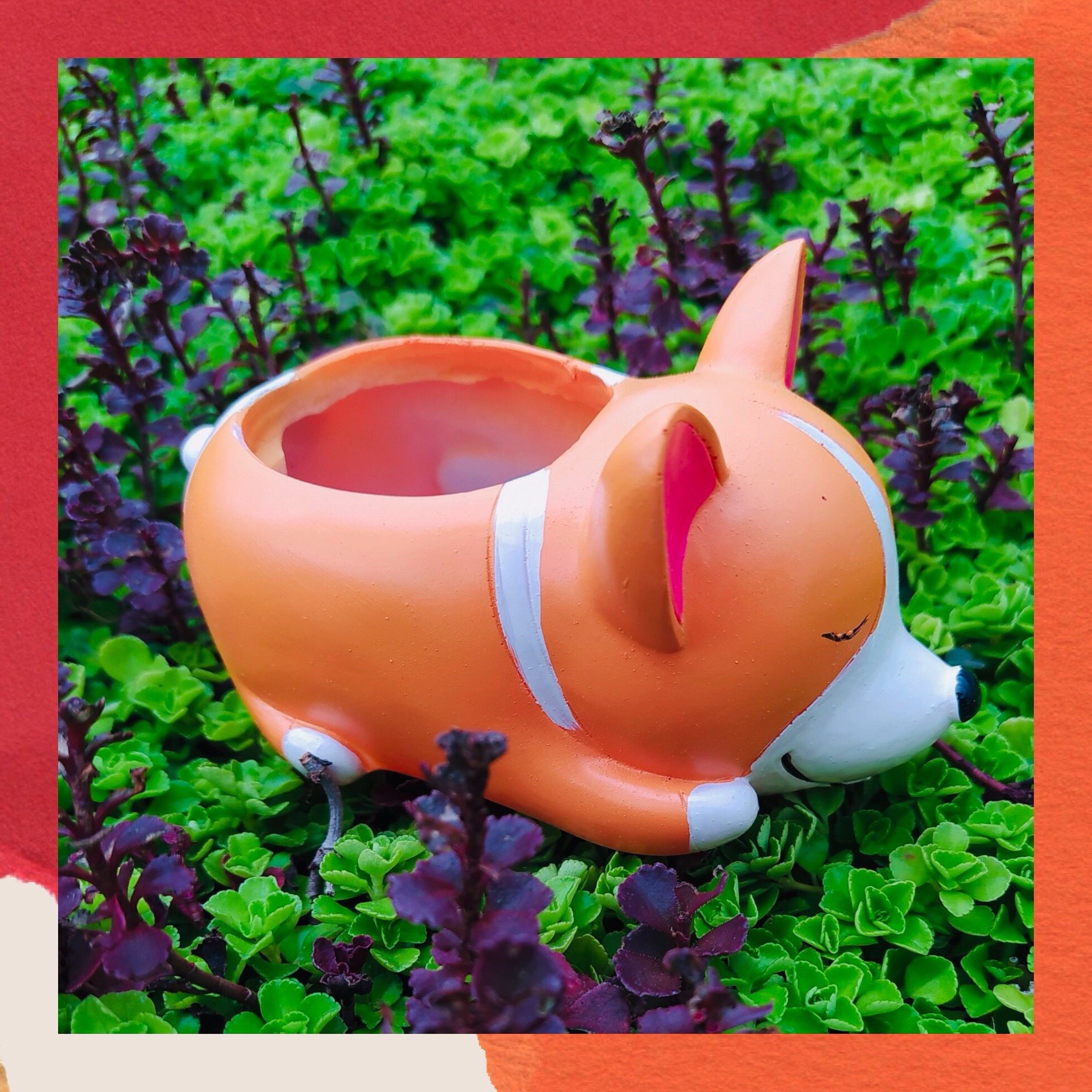 Chậu thú corgy siêu cute
