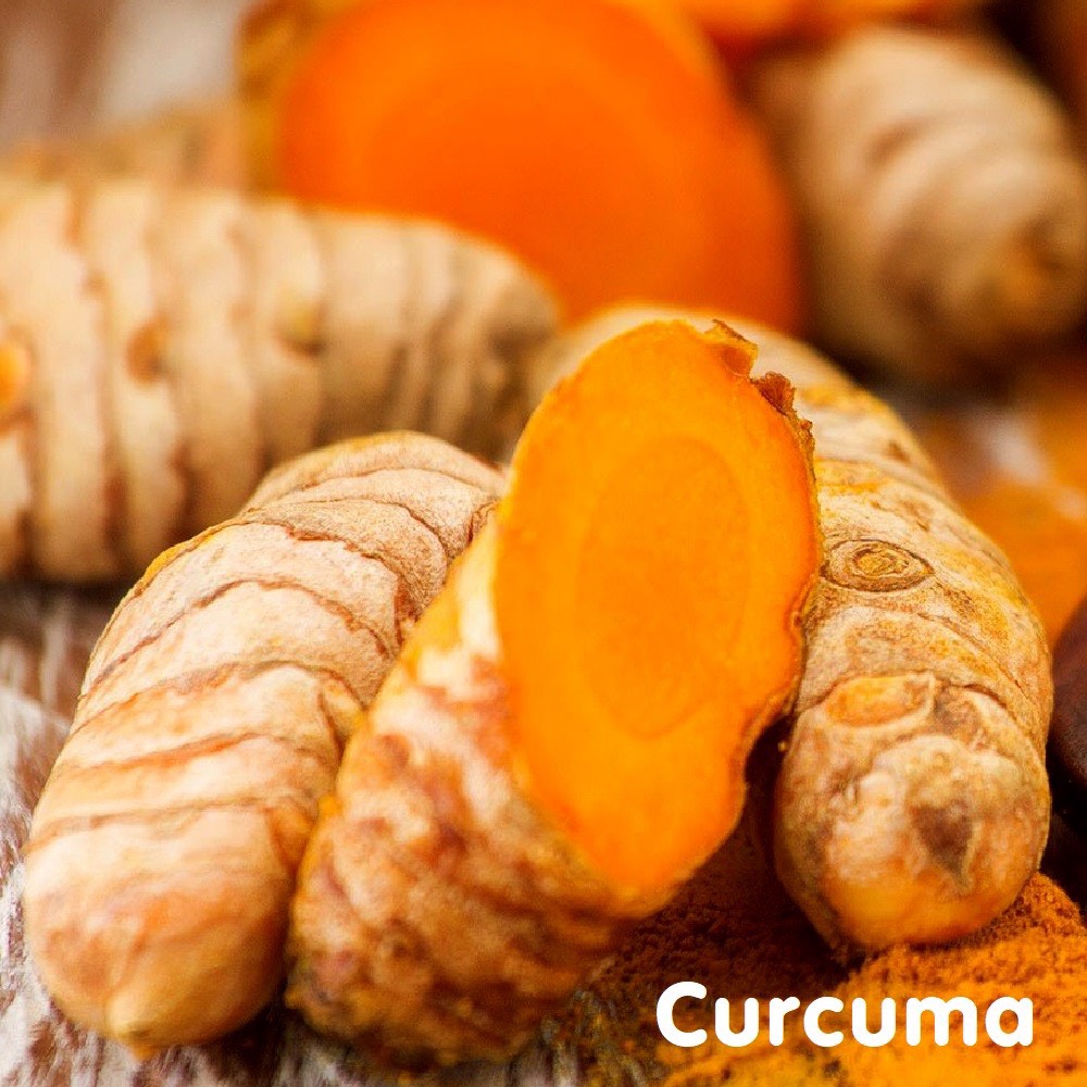 Tinh dầu củ nghệ Curcuma Essential Oil