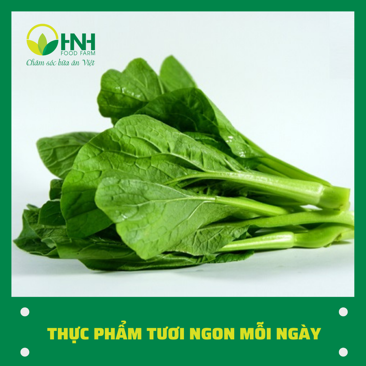 [CHỈ GIAO HÀ NỘI] Cải ngồng sạch ngon trợ giá mùa dịch - HNH Food Farm