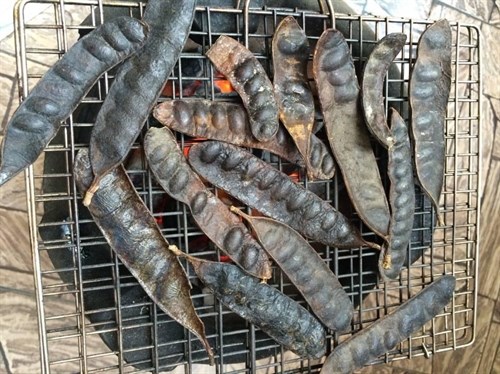 Trái bồ kết khô Nghệ An cho mái tóc sạch khỏe - trái chưa nướng