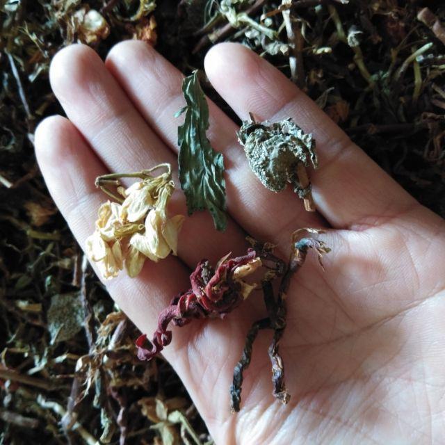 500g trà sơn mật hồng sâm sapa
