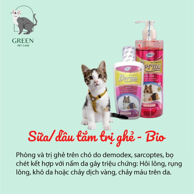 Sữa tắm chó mèo - Sữa tắm sạch nấm cho mèo Bio Derma