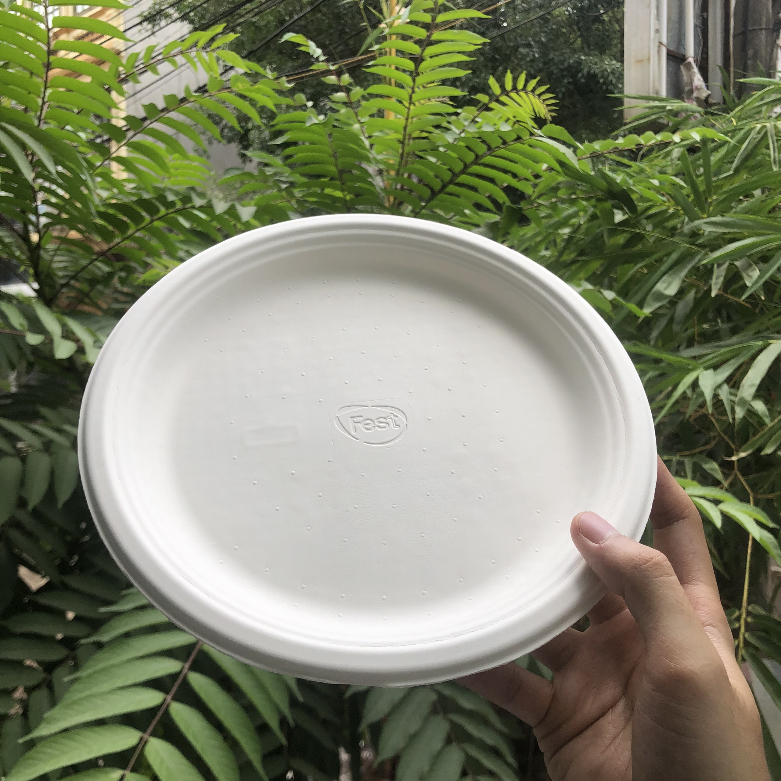 Combo Đĩa giấy bột gỗ dùng 1 lần Fest bio 9 inches