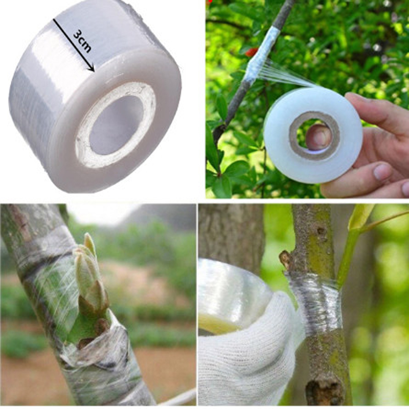 Cuộn băng keo ghép cành tự hủy rộng 3cm dài 120m, màng ghép cành cây tự dính