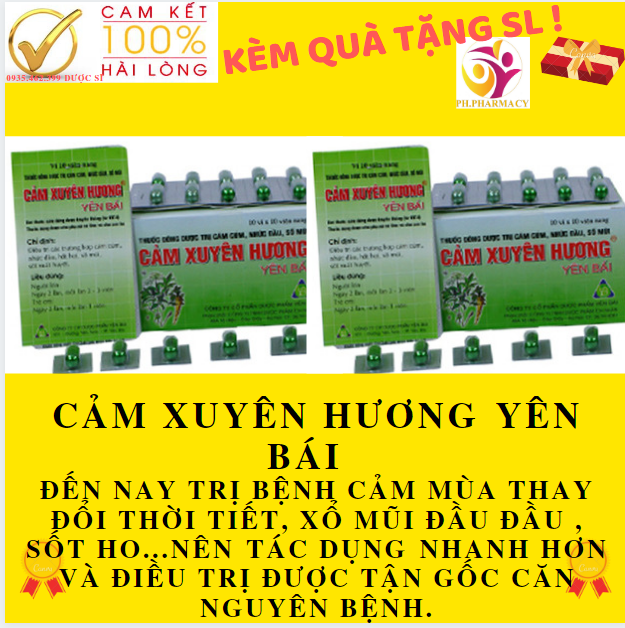 ( QUÀ TẶNG KÈM  ) Cảm Xuyên Hương Yên Bái , TRỊ CẢM , SÔT NGHẸT MŨI - Cảm Xuyên Hương Yên Bái HỘP 10 VỈ
