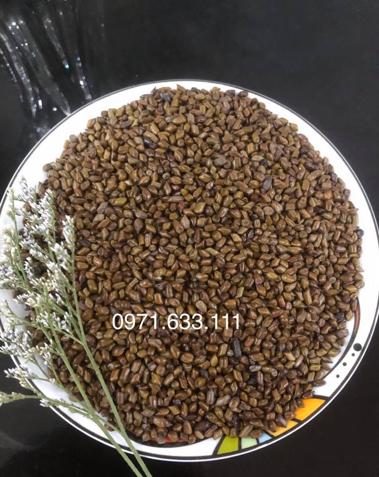 Combo 5kg hạt muồng xuất khẩu