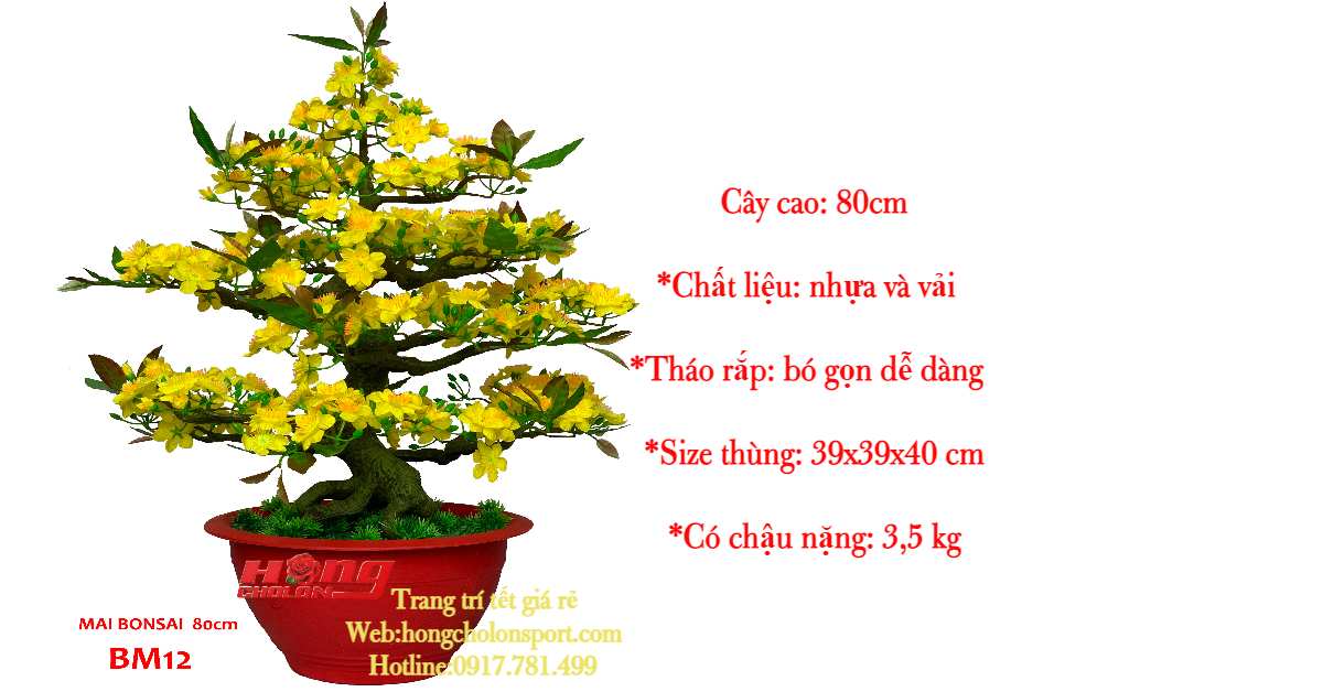 Chậu hoa mai bonsai cao 80cm-cây mai giả