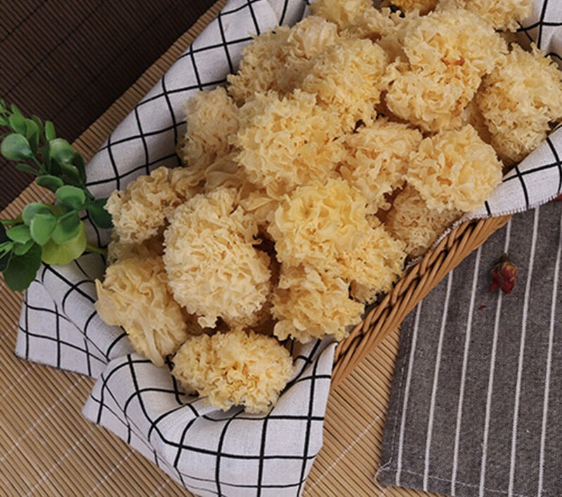 Nấm tuyết rừng Đông Tạng 100g