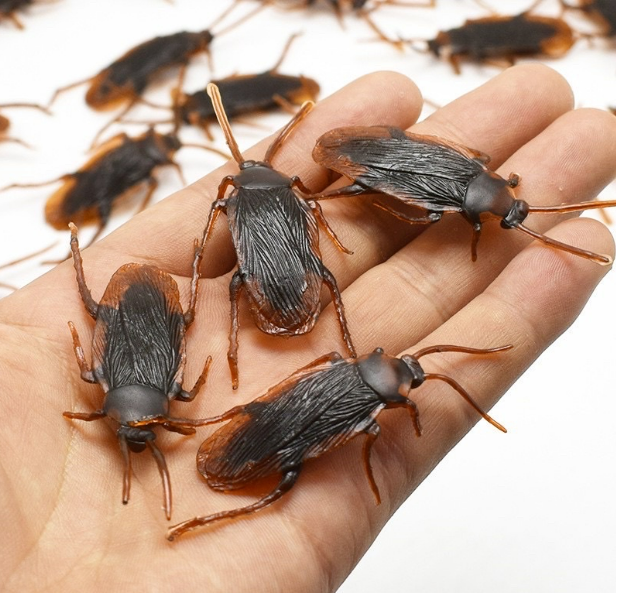 Con gián giả, con rết, con nhện đồ chơi cho mèo, thú cưng